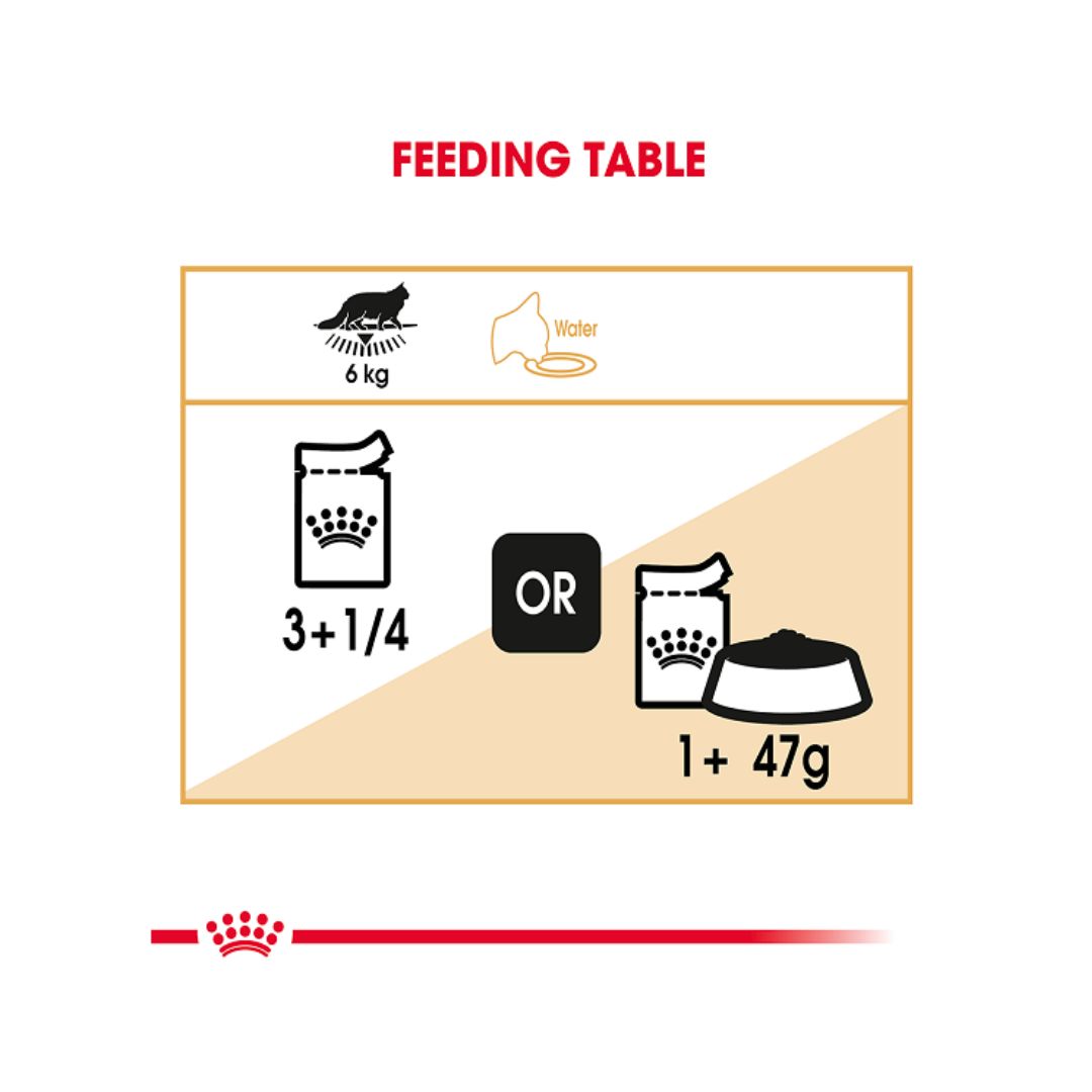 Royal Canin Maine Coon Gravy Cat Wet Food - Feeding Guide