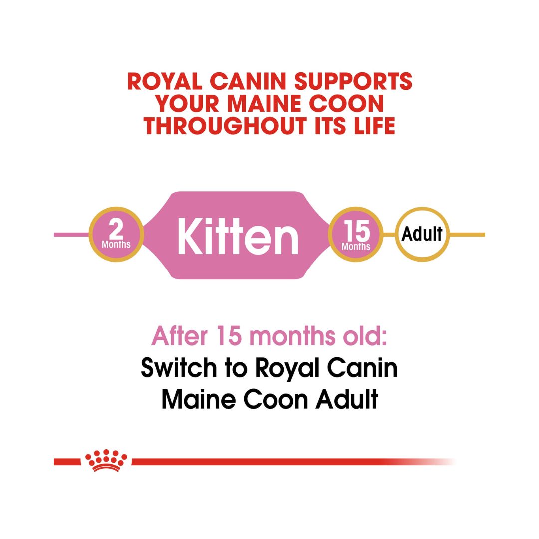 ROYAL CANIN® Maine Coon Kitten Dry Food - Size and Age