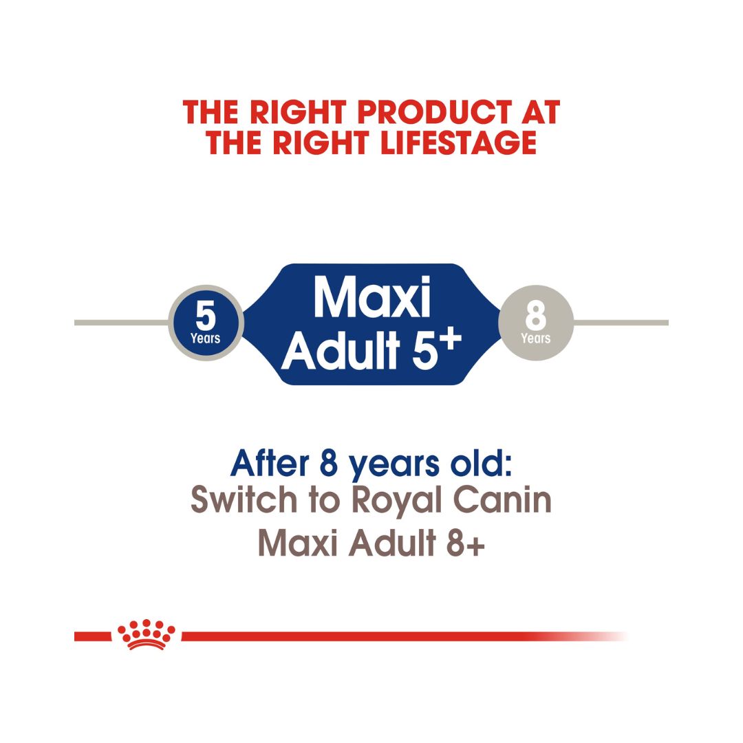 Royal Canin Maxi Adult 5+ Dog Dry Food - Age and Size