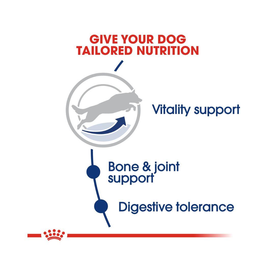 Royal Canin Maxi Adult 5+ Dog Dry Food - Benefits