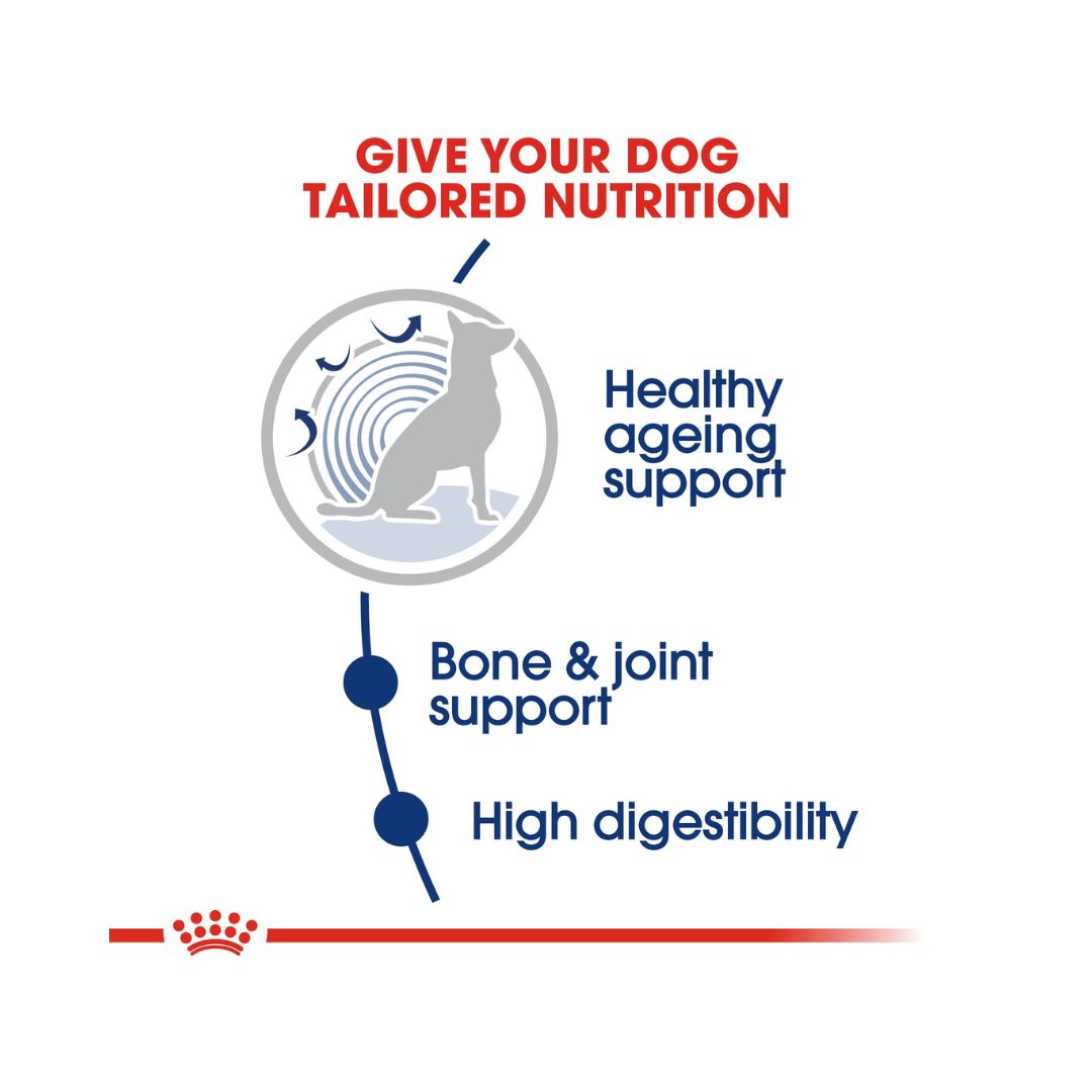 Royal Canin Maxi Ageing 8+ Dog Dry Food - Benefits