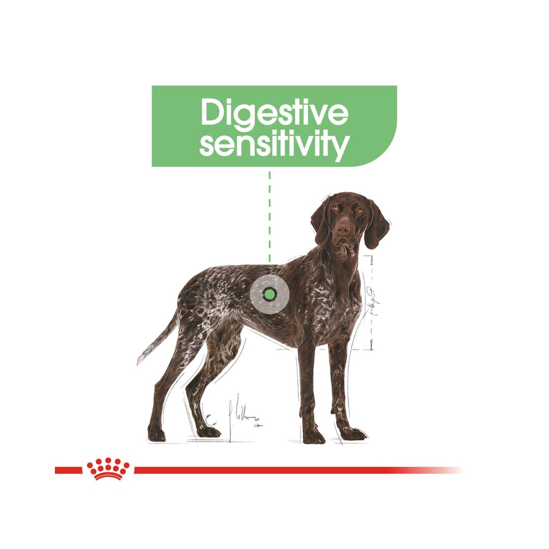 Royal Canin Maxi Digestive Care Dog Dry Food - Digestive