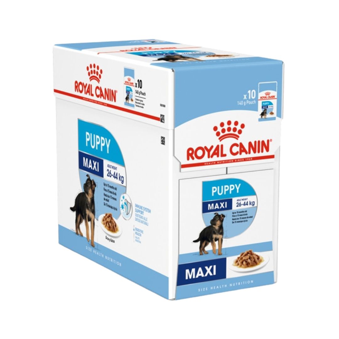 Royal Canin Maxi Puppy Gravy Wet Food - Wet food in gravy for large-breed puppies - Full Box