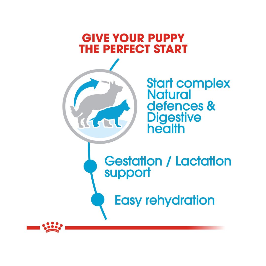 Royal Canin Maxi Starter Mother & Babydog Dry Food Complete feed for dogs 26 to 44 kg and her puppies: Mother at the end of gestation and during lactation puppies up to 2 months old 5.