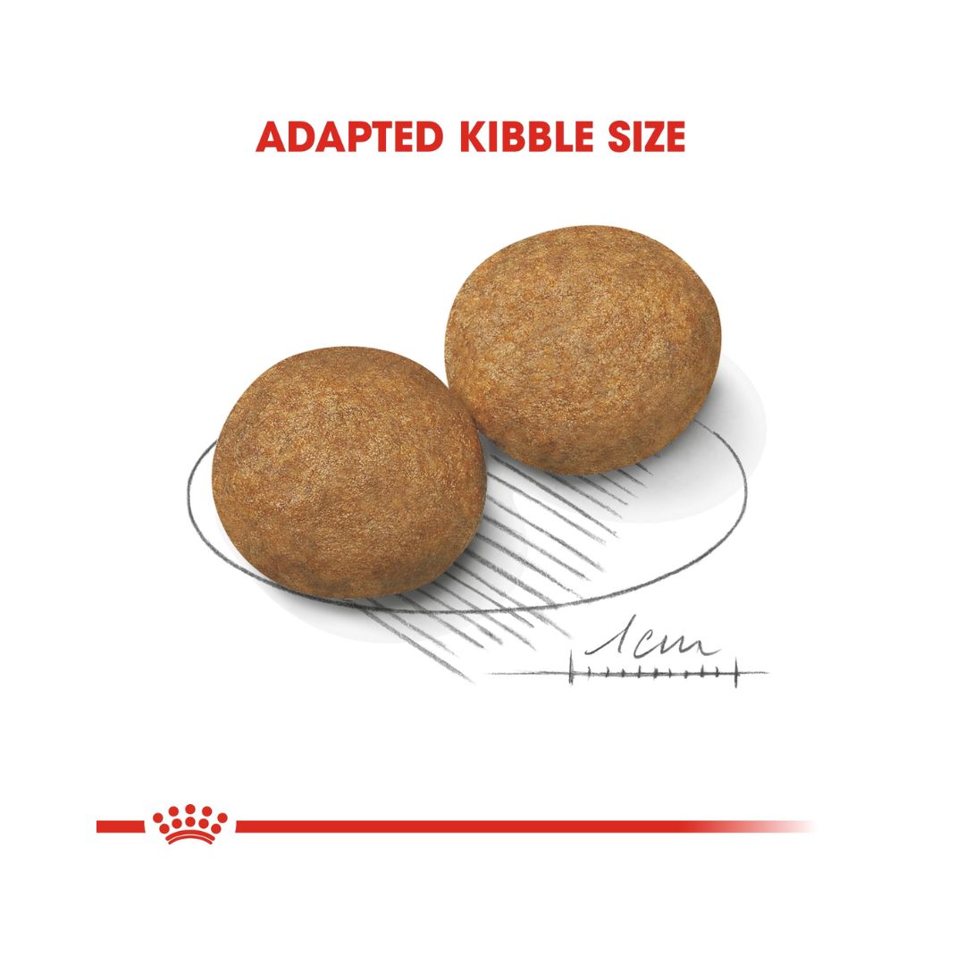 Royal Canin Medium Adult Dog Dry Food - Kibble Size