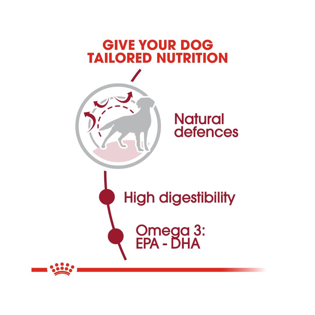 Royal Canin Medium Adult Dog Dry Food - Benefits