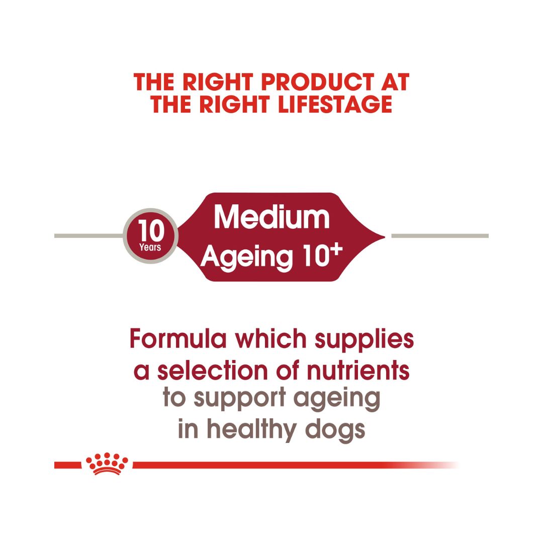 Royal Canin Medium Ageing 10+ Dog Dry Food - Age and Size