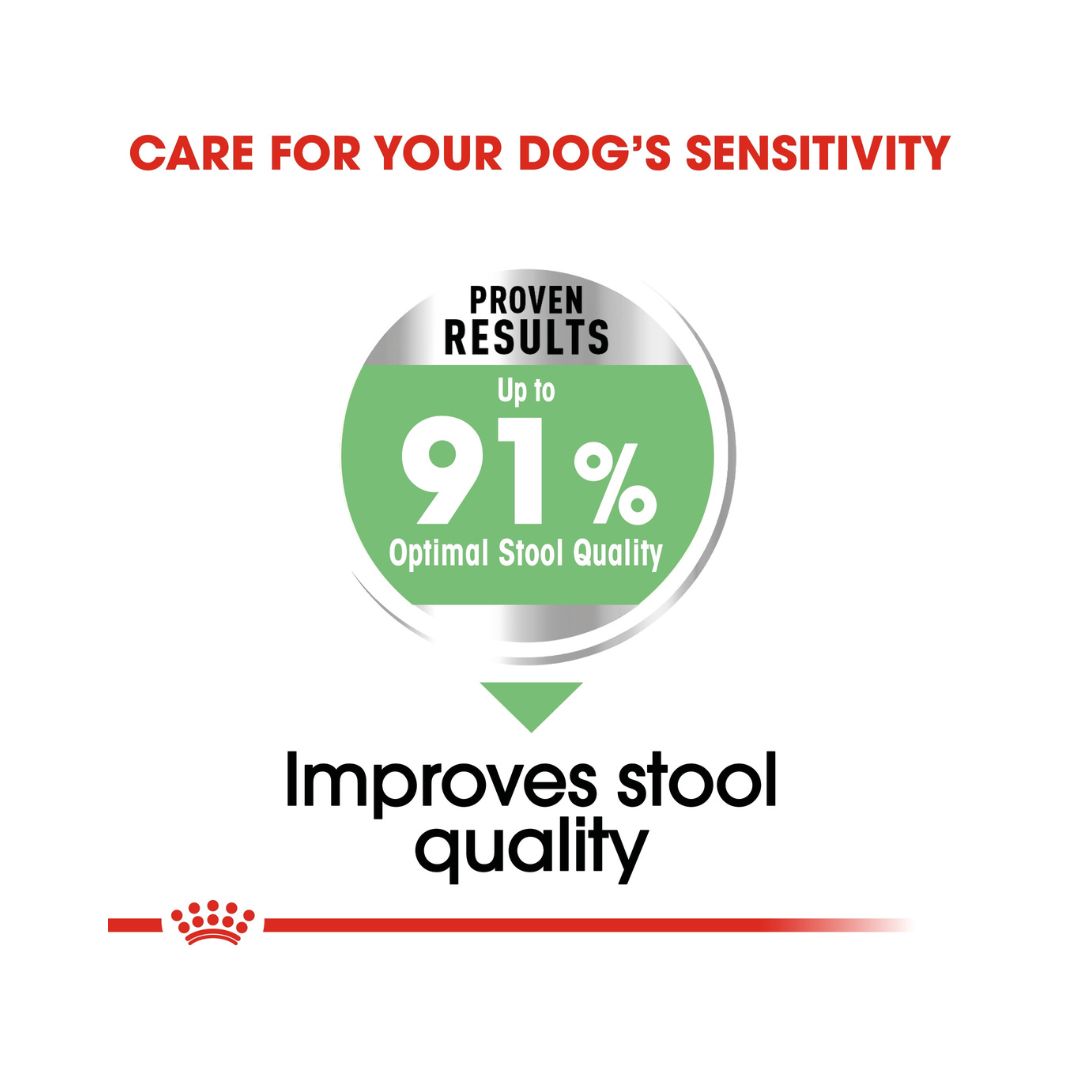 Royal Canin Medium Digestive Care Dog Dry Food