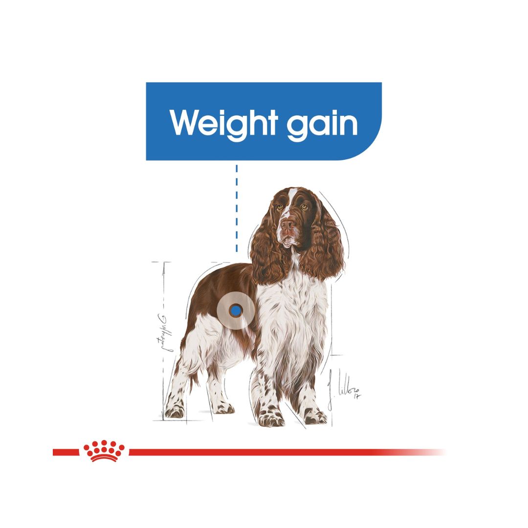 Royal Canin Medium Light Weight Care Dog Dry Food - Benefits