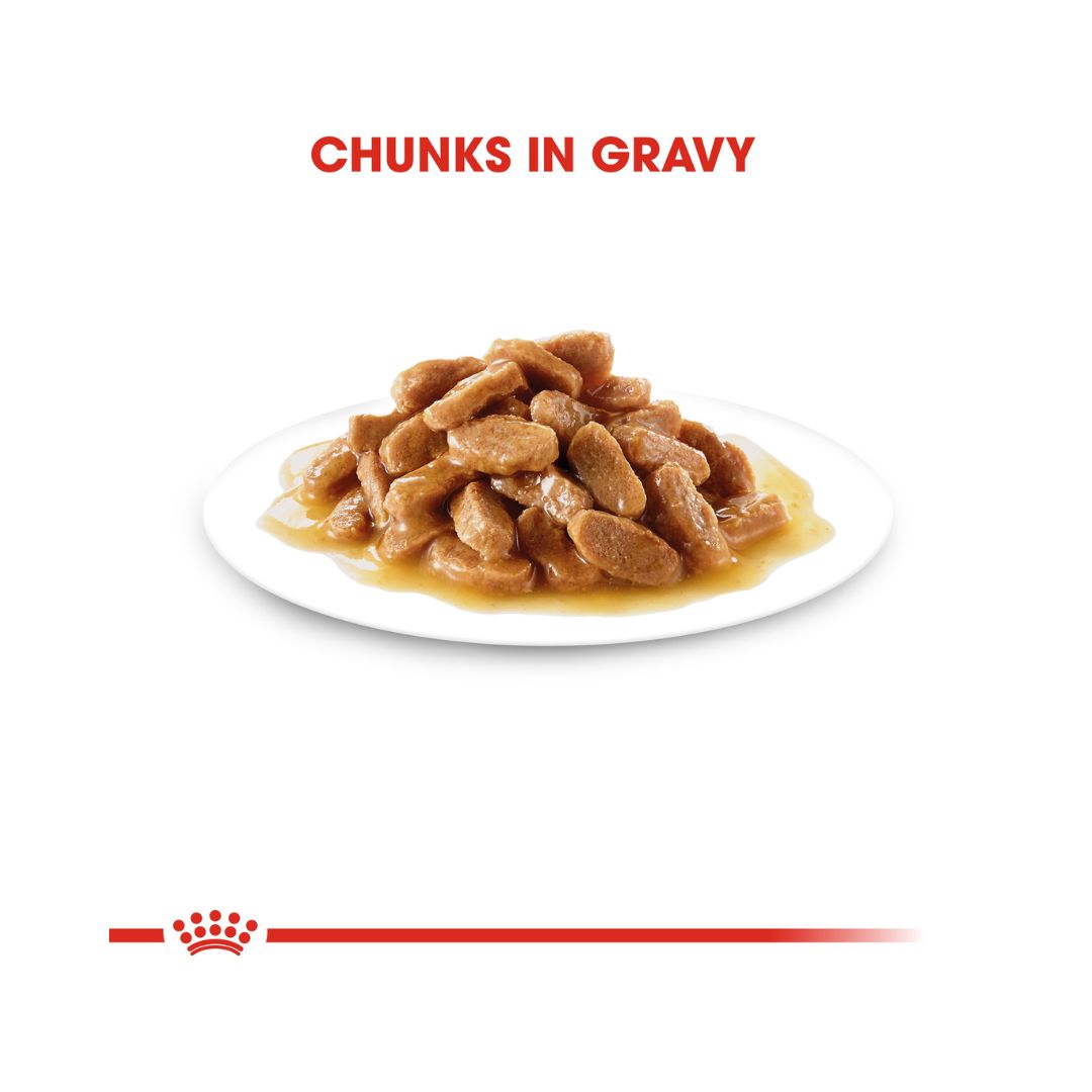 Royal Canin Medium Puppy Gravy Wet Food - Wet food in gravy for medium-sized puppies - Chunks in Gravy
