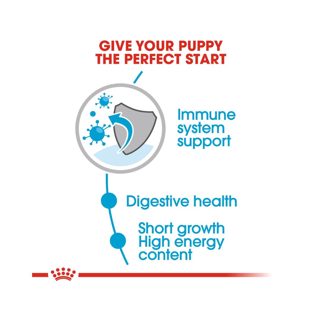 Royal Canin Medium Puppy Gravy Wet Food - Wet food in gravy for medium-sized puppies food benefits