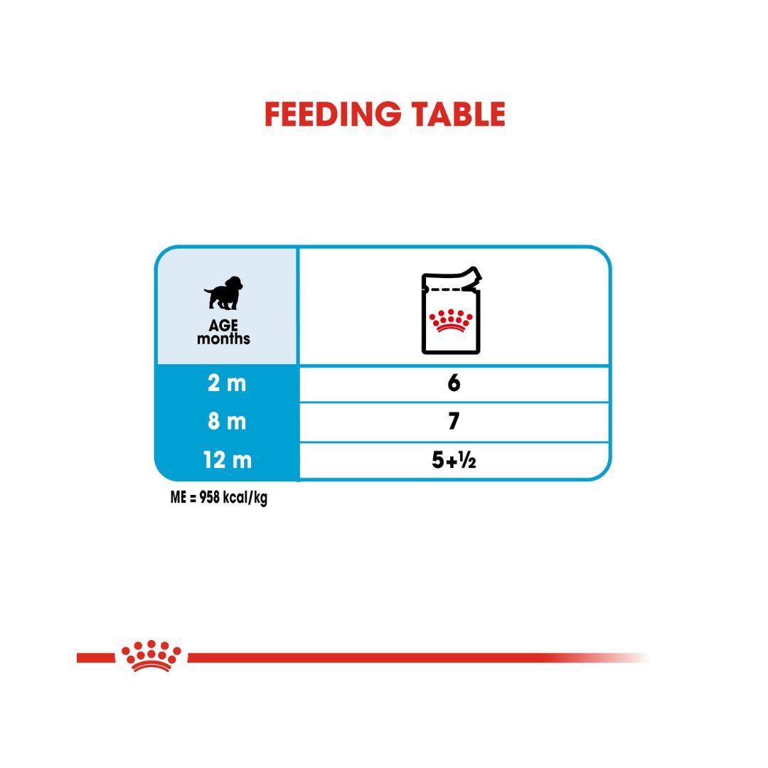 Royal Canin Medium Puppy Gravy Wet Food - Wet food in gravy for medium-sized puppies feeding Guide