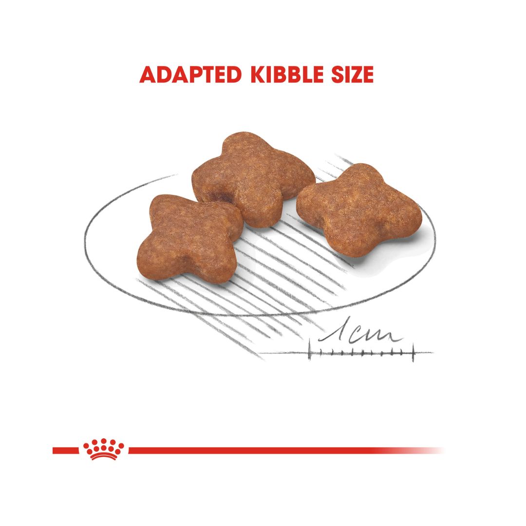Royal Canin Mini Adult 8+ Dog dry Food Complete feed for mature small breed dogs up to 10 kg over 8 years old 4.
