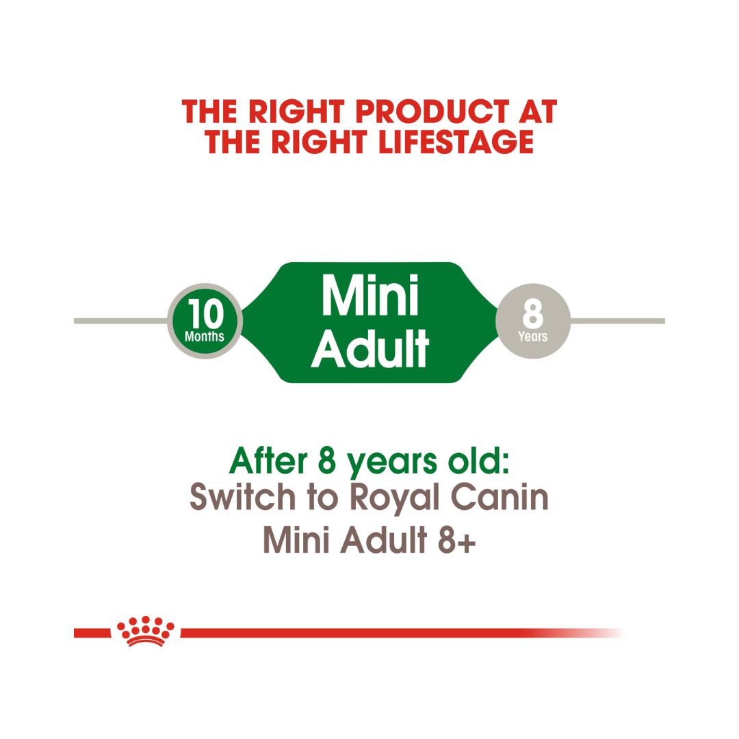 Royal Canin Mini Adult Dog Dry Food - Size And Age