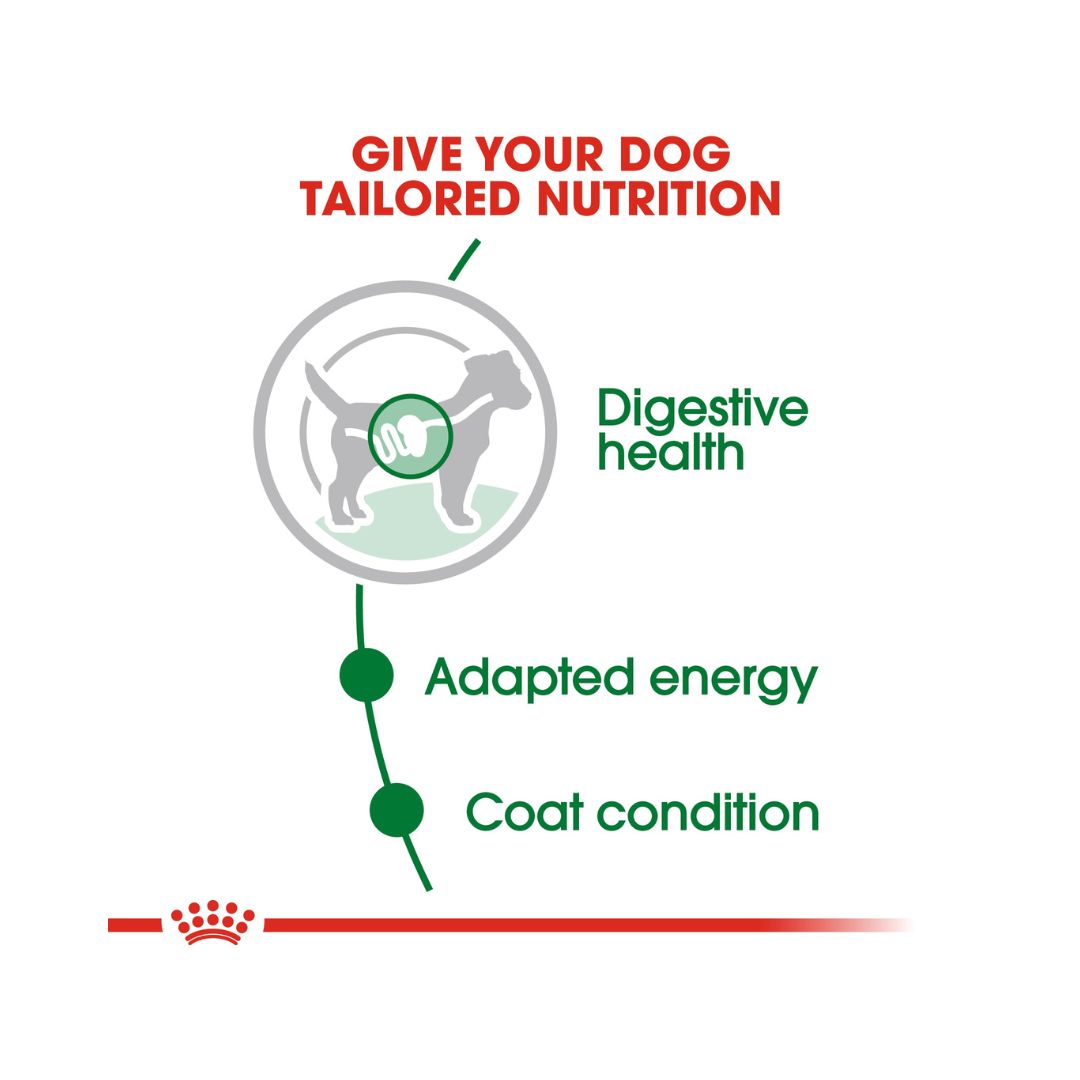 Royal Canin Mini Adult Gravy Wet Dog Food - Wet food for small adult dogs. food benefits