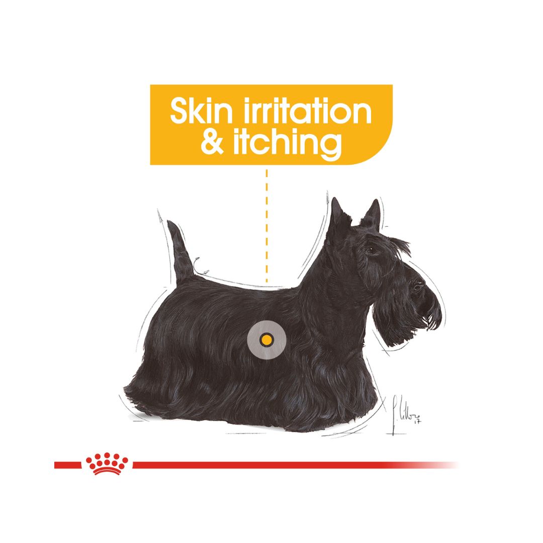 Royal Canin Mini Dermacomfort Dog Dry Food - Food benefits