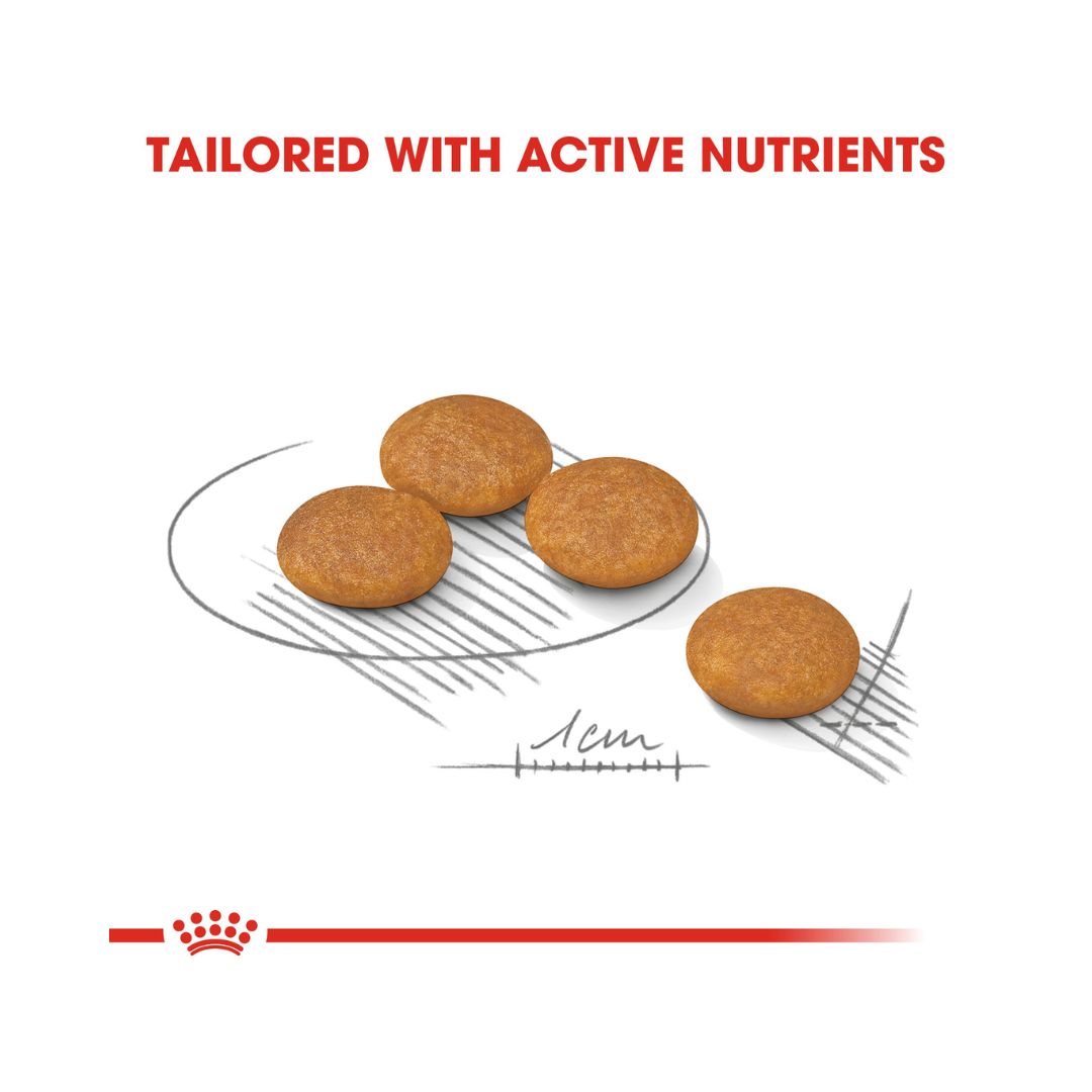 Royal Canin Mini Dermacomfort Dog Dry Food - Kibble Size