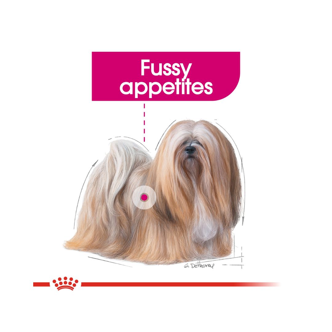 Royal Canin Mini Exigent Dog Dry Food - For Fussy Dogs
