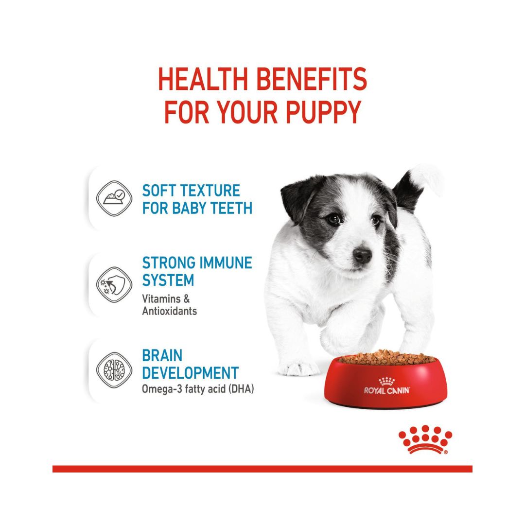 Royal Canin Mini Puppy Gravy Wet Food - Wet food for small-breed puppies - Food Benefits