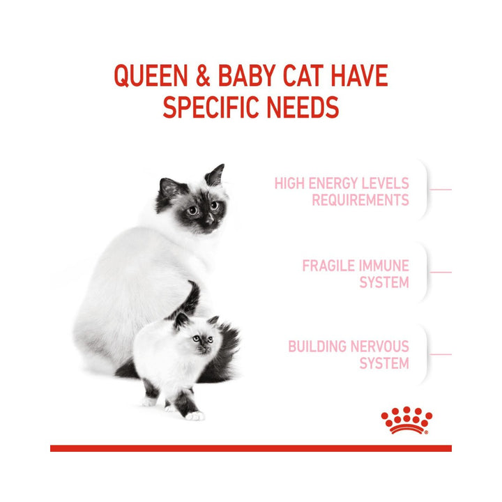 Royal Canin Mother &amp; Babycat Dry Cat Food - Food benefits 