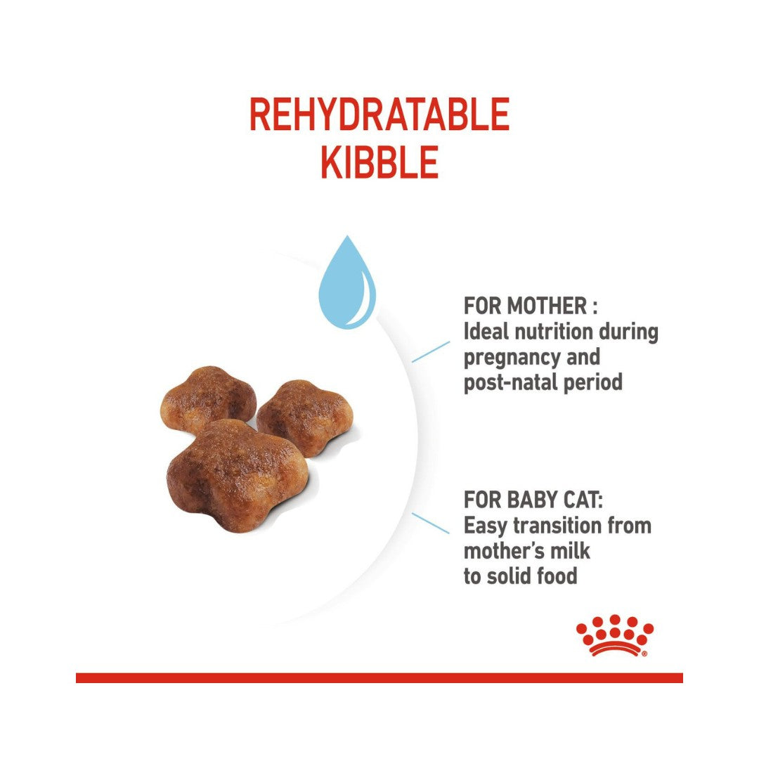 Royal Canin Mother & Babycat Dry Cat Food - Kibble Size