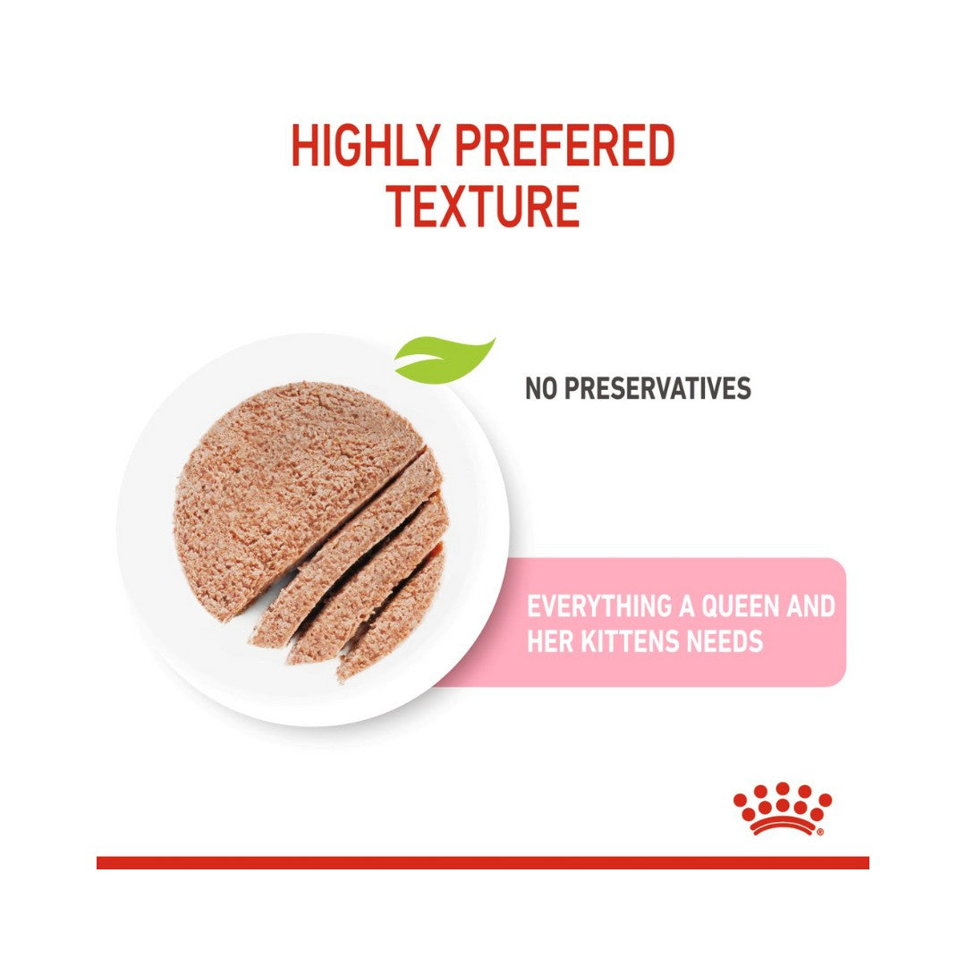ROYAL CANIN® Mother & Babycat (Mousse) is formulated to meet the nutritional needs of gestating or lactating queens and 1 to 4-month-old kittens during their 1st age. It