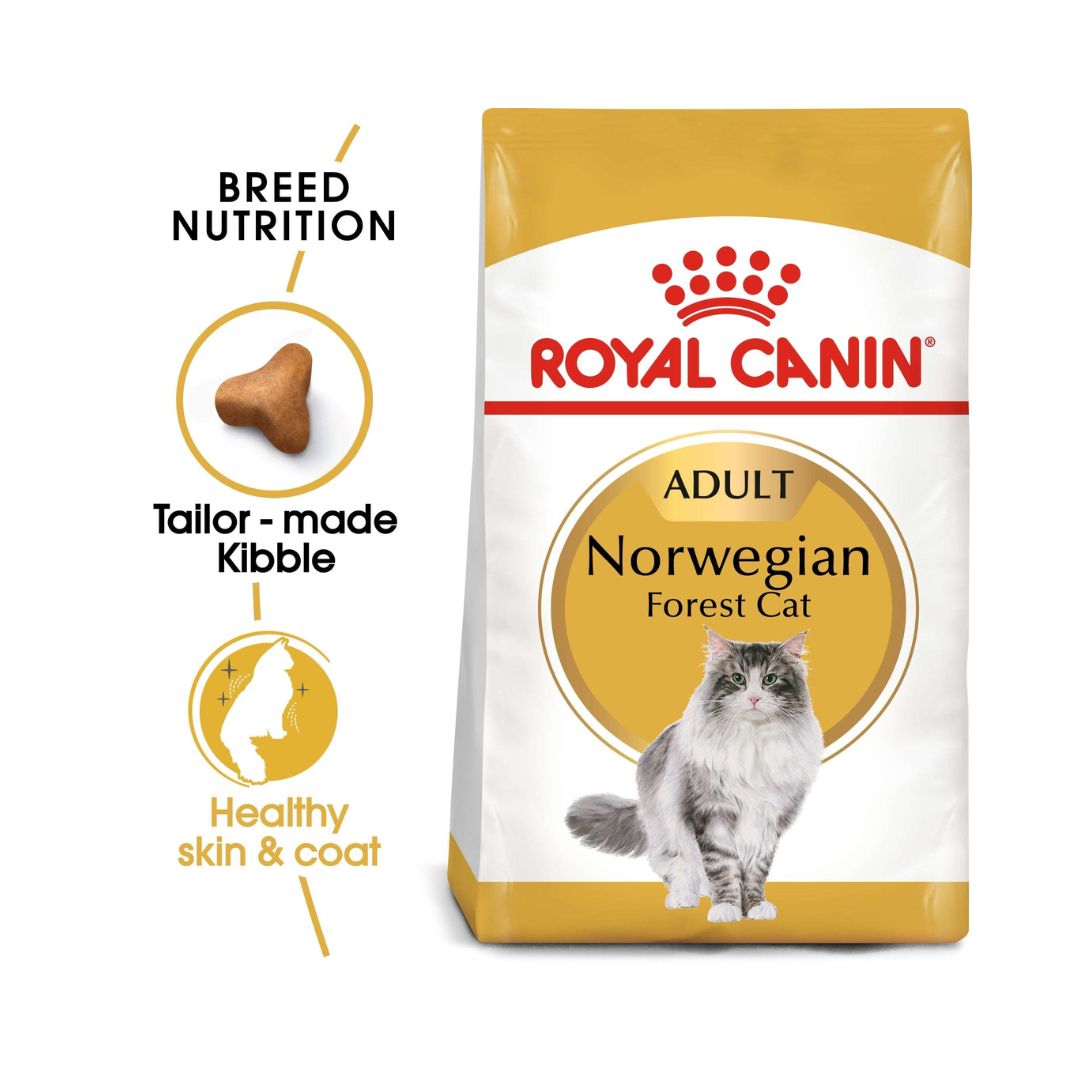 Royal Canin Norwegian Forest Cat Adult Dry Food - Food Nutrition