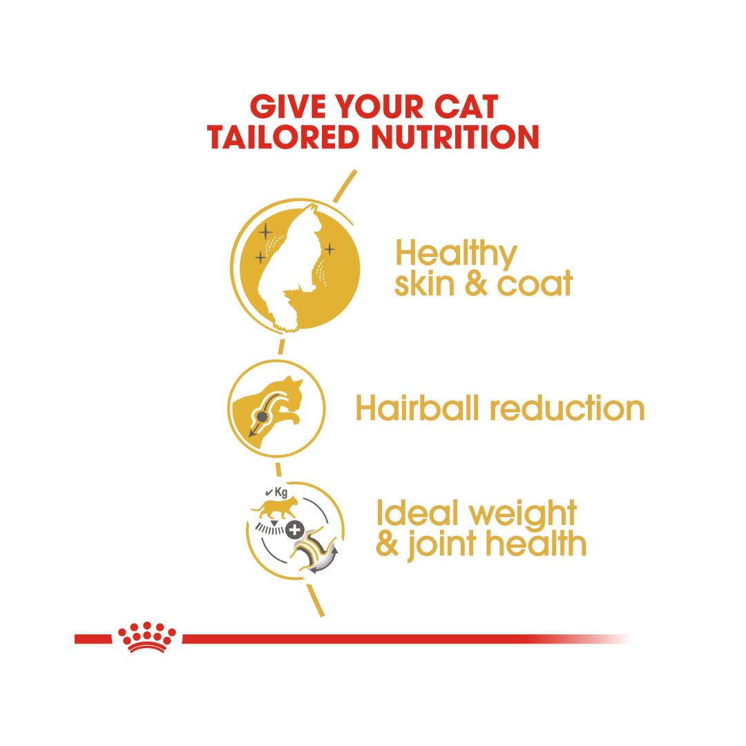 Royal Canin Norwegian Forest Cat Adult Dry Food - Food Benefits