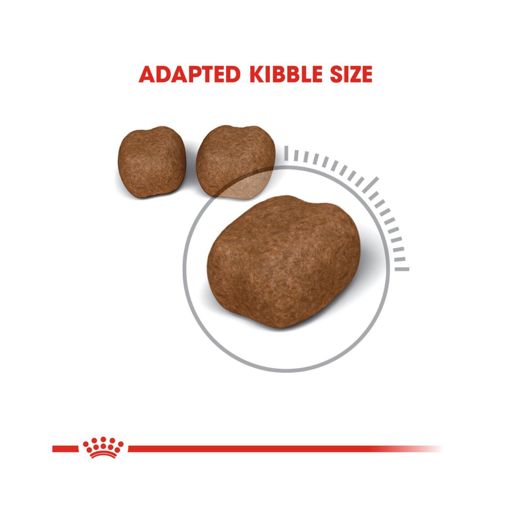 ROYAL CANIN® Dental Care Cat Dry Food - 1.5kg pack- Kibble Size