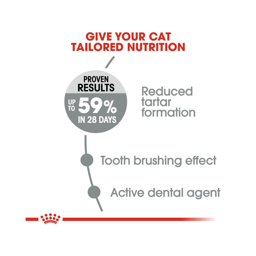 ROYAL CANIN® Dental Care Cat Dry Food - 1.5kg pack - food Nutrition