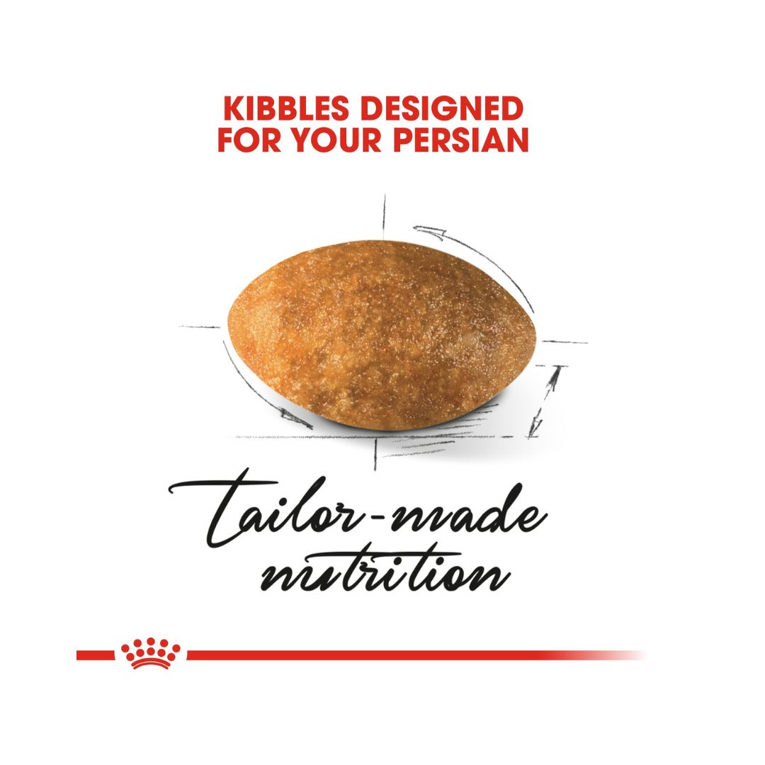 Royal Canin Persian Adult Dry Cat Food - Kibble Size