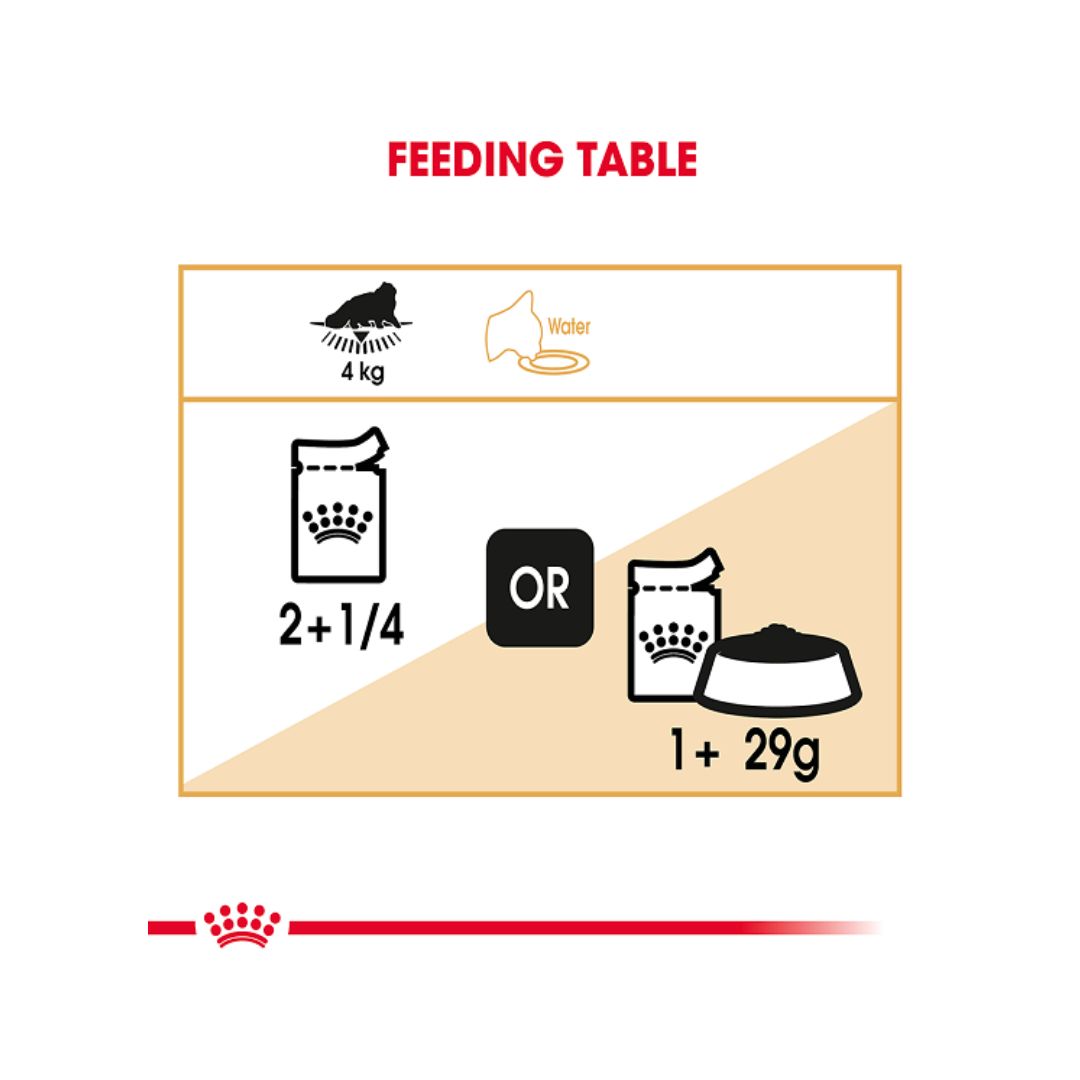 Royal Canin Persian Cat Wet Food - Feeding Guide