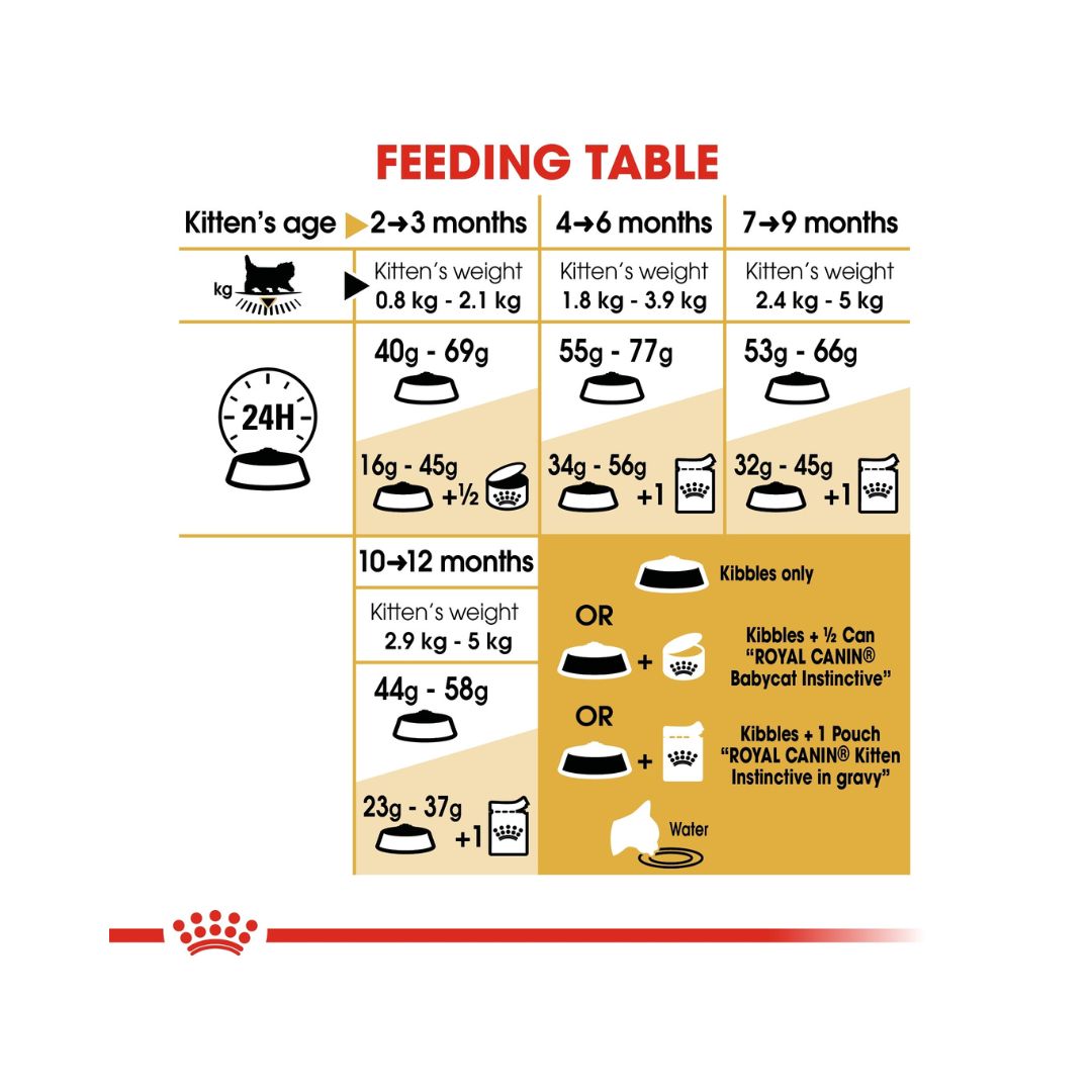 Royal Canin Persian Kitten Dry Food - Food Guide