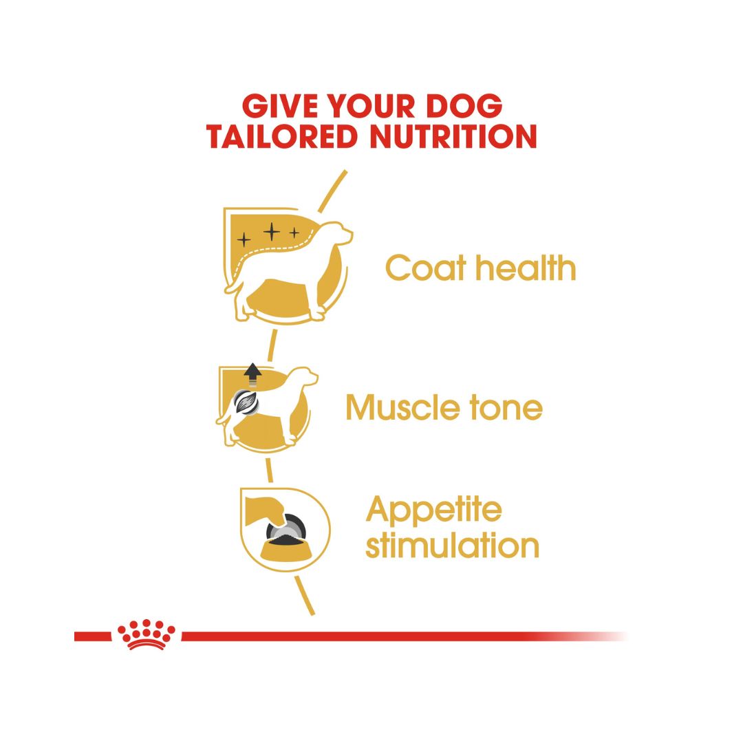 Royal Canin Poodle Adult Dog Wet Food - Food benefits