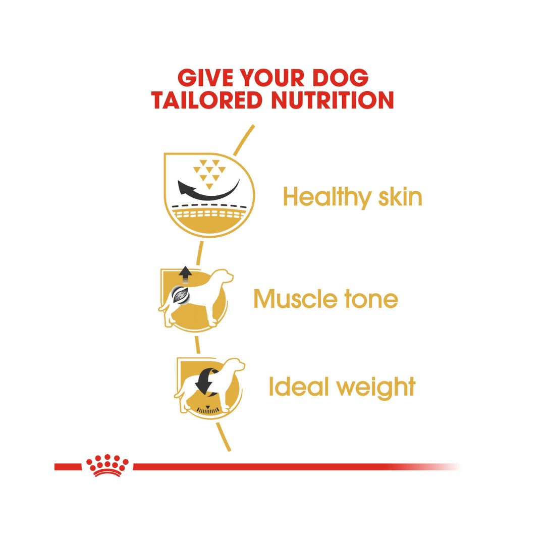 Royal Canin Pug Adult Dog Dry Food - Food Nutritions
