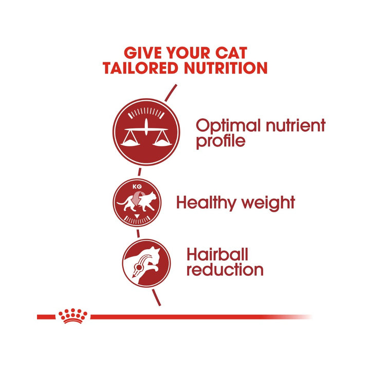 Royal Canin Regular Fit 32 Dry Cat Food - Food Nutrition 