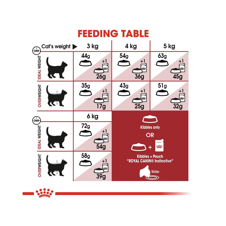 Royal Canin Regular Fit 32 Dry Cat Food - Feeding Guide 