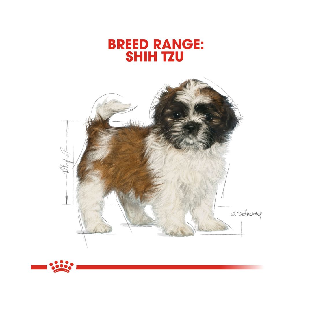 Royal Canin Shih Tzu Puppy Dry Food - Ad