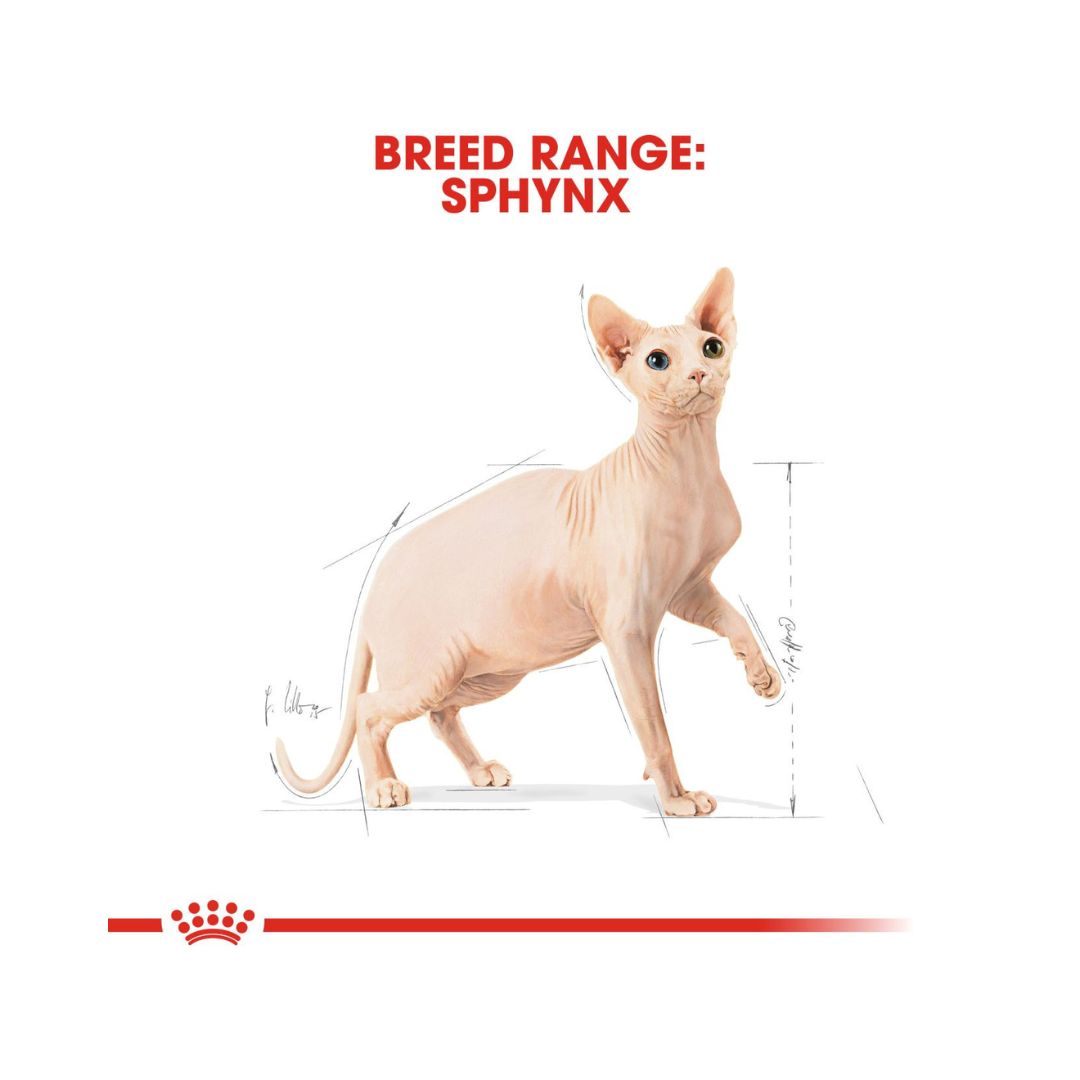 Shop Royal Canin Sphynx Adult Cat Dry Food - AD