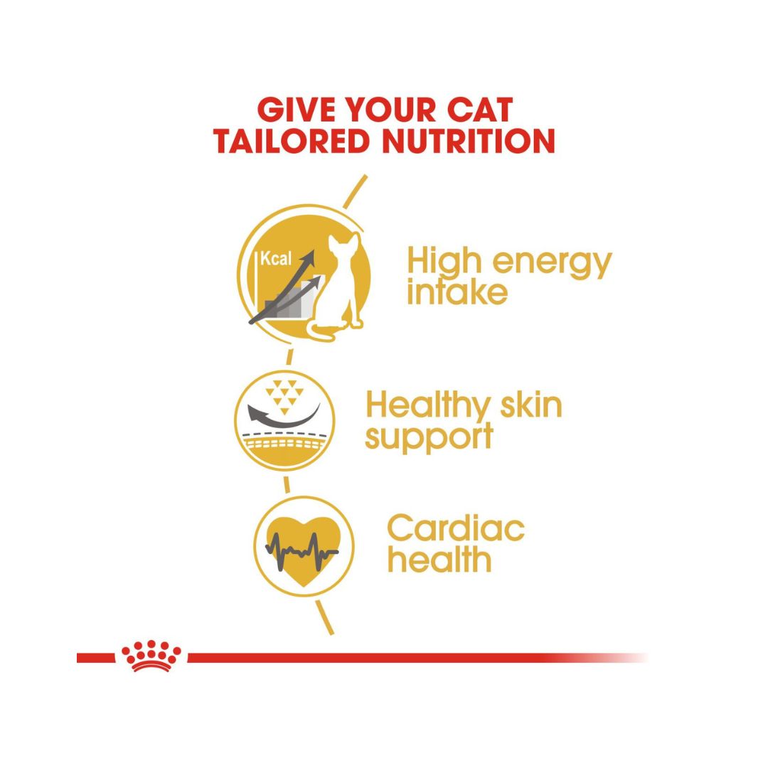 Shop Royal Canin Sphynx Adult Cat Dry Food - Food Benefits