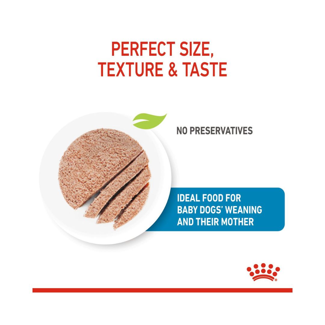 Royal Canin Starter Mousse Mother & Babydog Food - Wet food for pregnant and lactating mothers and puppies - Size and Age