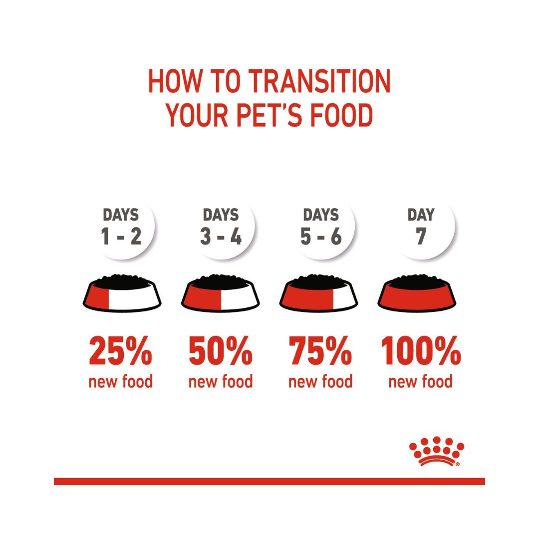 Royal Canin Starter Mousse Mother & Babydog Food - Wet food for pregnant and lactating mothers and puppies