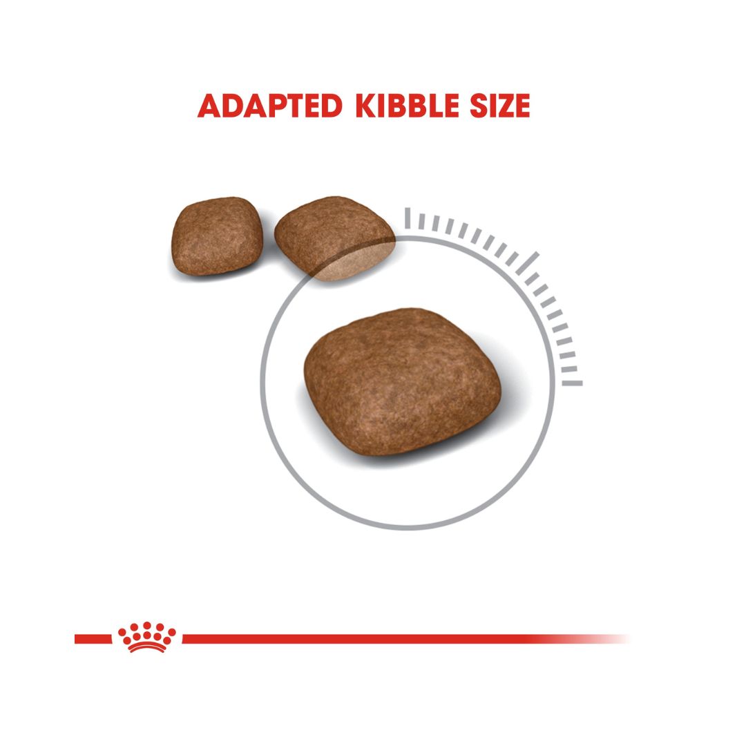 Royal Canin Urinary Care Adult Dry Cat Food is recommended to help maintain urinary tract health 3.