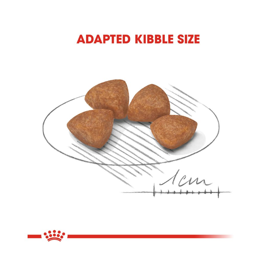 Royal Canin X-Small Puppy Dry Food -Kibble Size