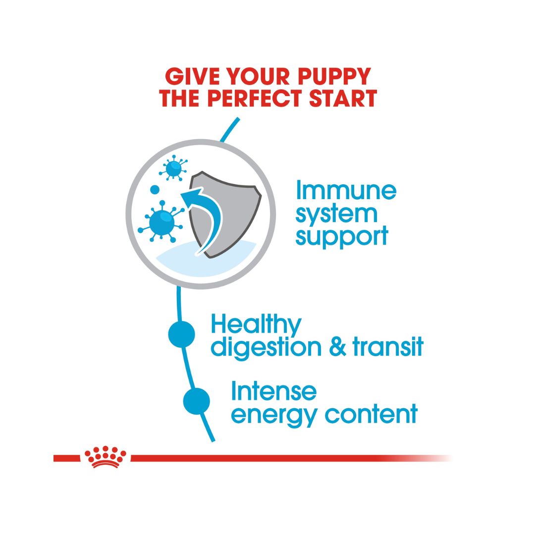 Royal Canin X-Small Puppy Dry Food - Benefits