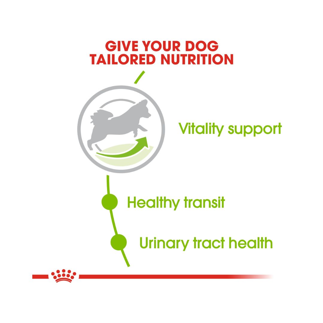 Royal Canin X-Small Adult 8+ Dog Dry Food - Food Benefits