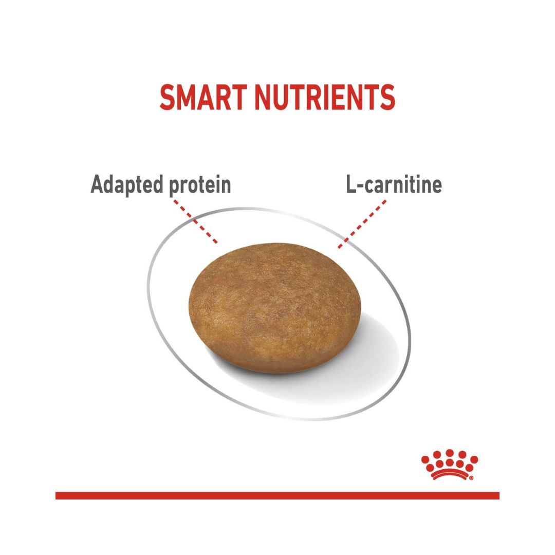 Royal Canin X-Small Adult Light Dog Dry Food - Kibble Size
