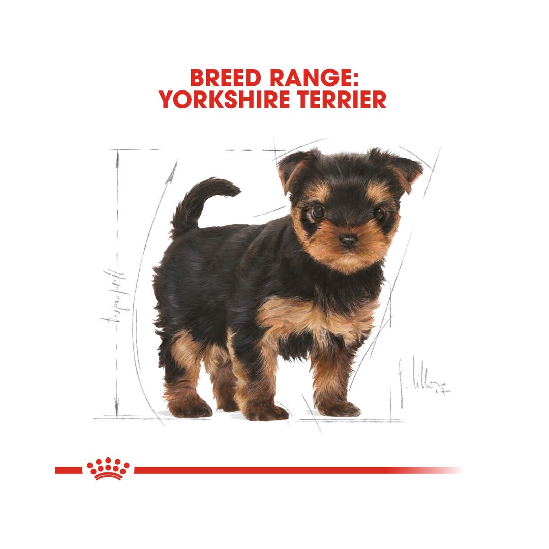 Royal Canin Yorkshire Puppy Dry Food - AD