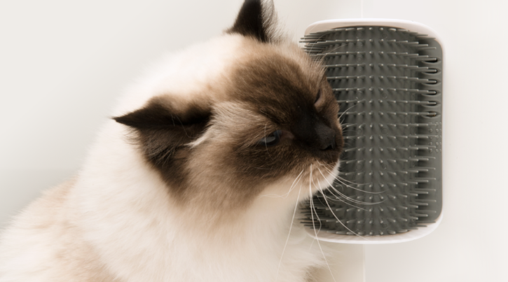 Catit Senses 2.0 Self Groomer for Cats - product view 2