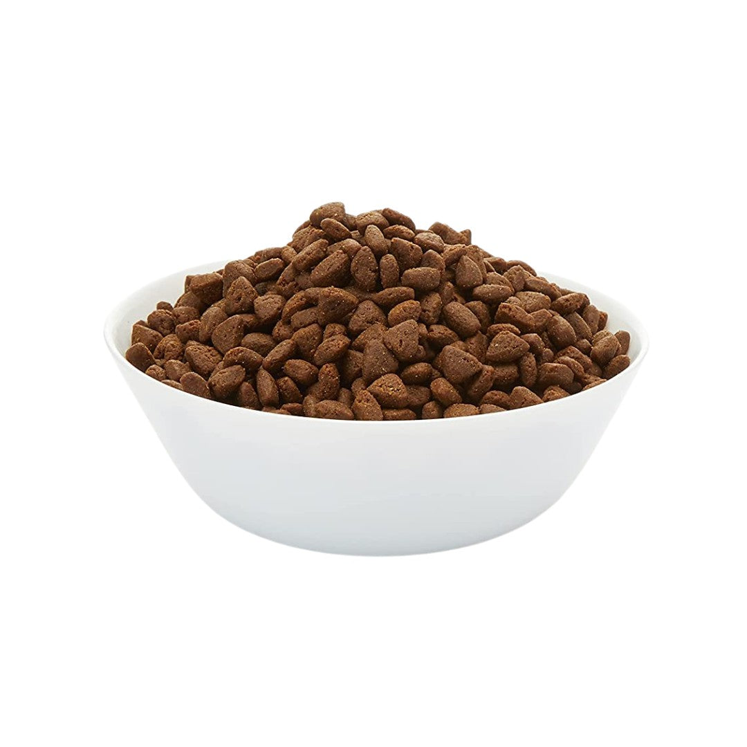 Thrive Cat Chicken Dry Food - 1.5kg bag of high meat content, grain-free dry food for cats. - Kibbe Size